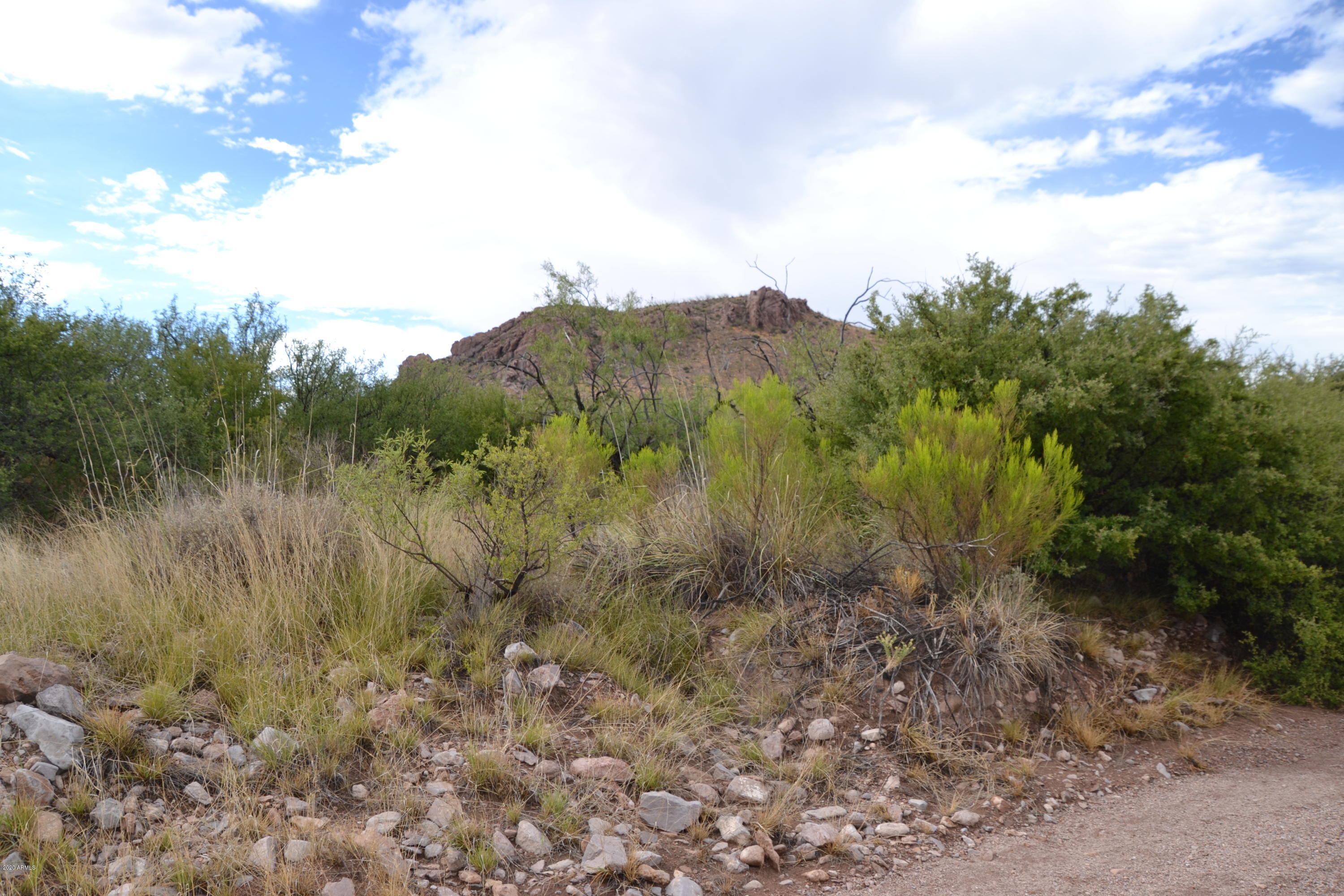 Tbd 24-ac East Get Lost Road Douglas, AZ 85607 - Photo 16 of 37 DSC_0275