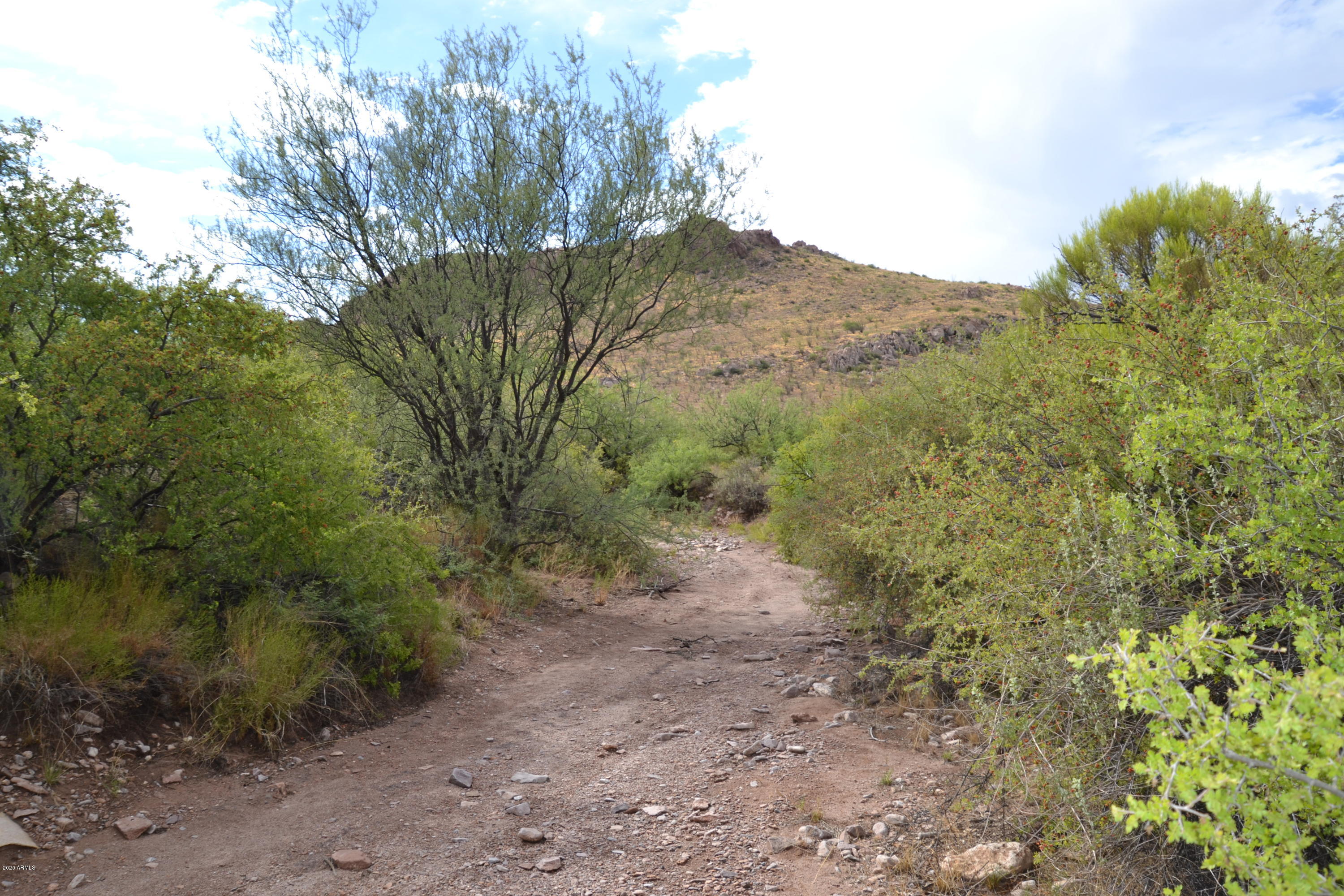 Tbd 24-ac East Get Lost Road Douglas, AZ 85607 - Photo 22 of 37 DSC_0283