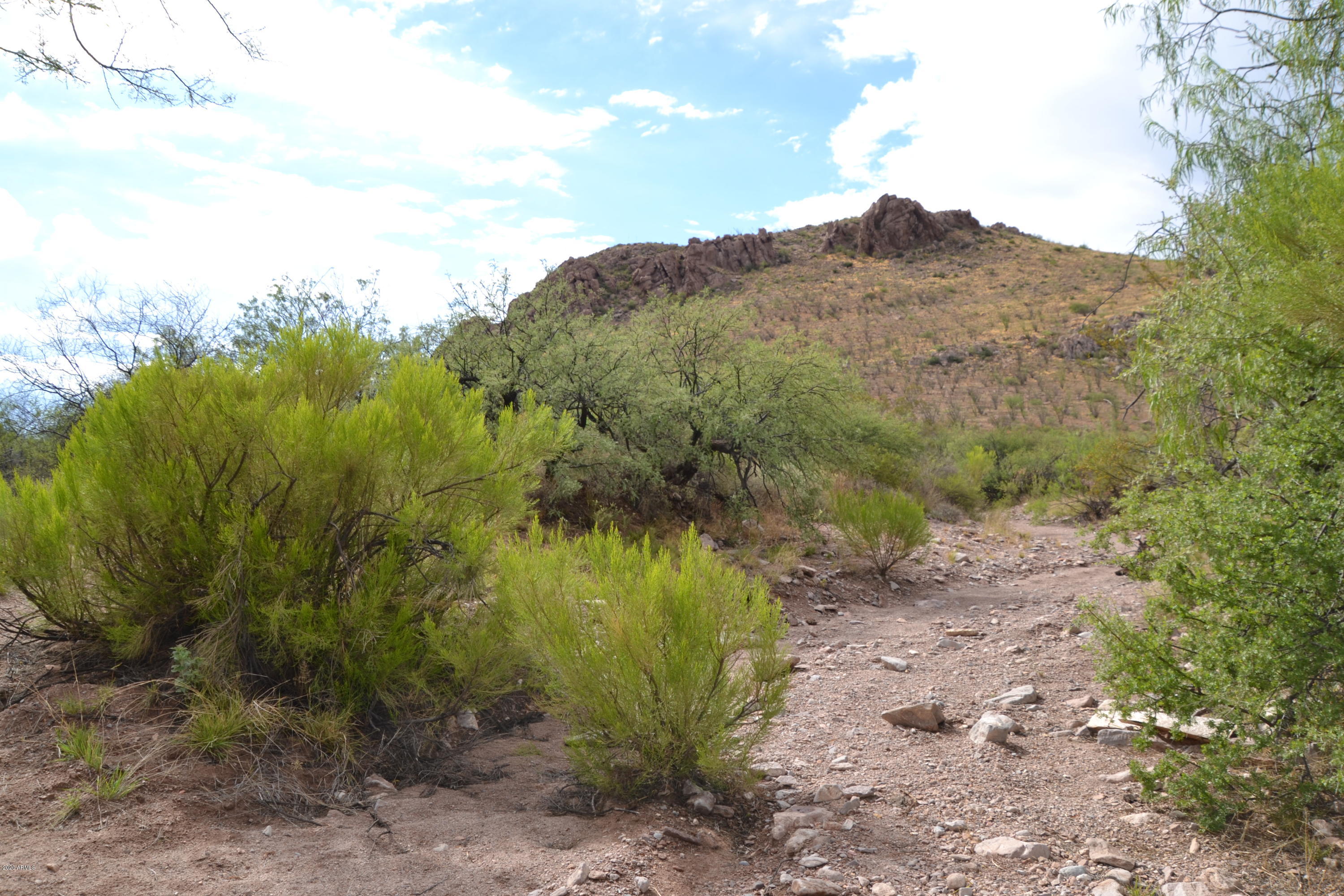 Tbd 24-ac East Get Lost Road Douglas, AZ 85607 - Photo 23 of 37 DSC_0284