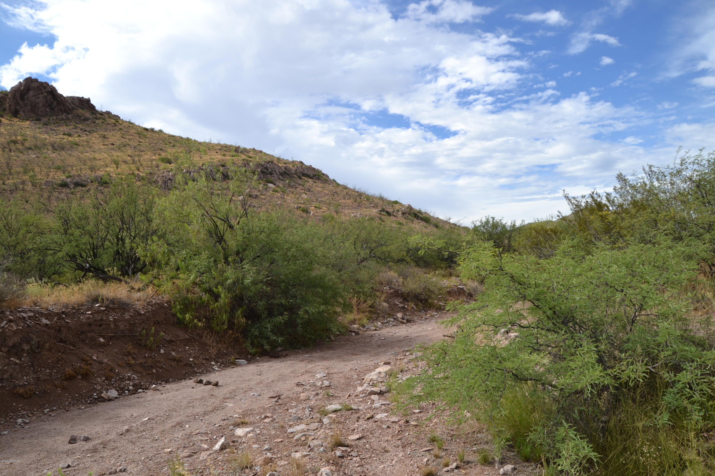 Tbd 24-ac East Get Lost Road Douglas, AZ 85607 - Photo 25 of 37 DSC_0287