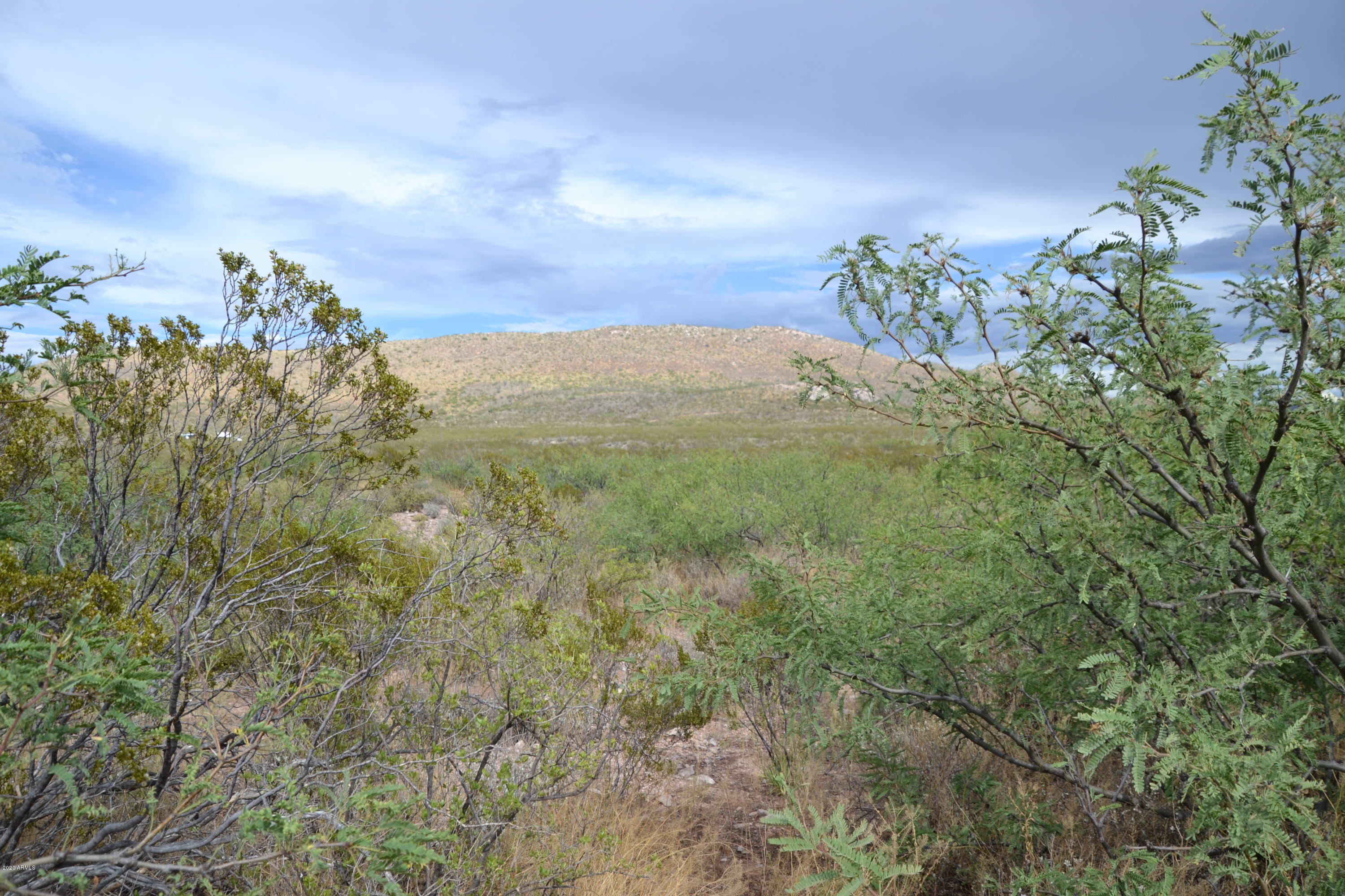 Tbd 24-ac East Get Lost Road Douglas, AZ 85607 - Photo 26 of 37 DSC_0288