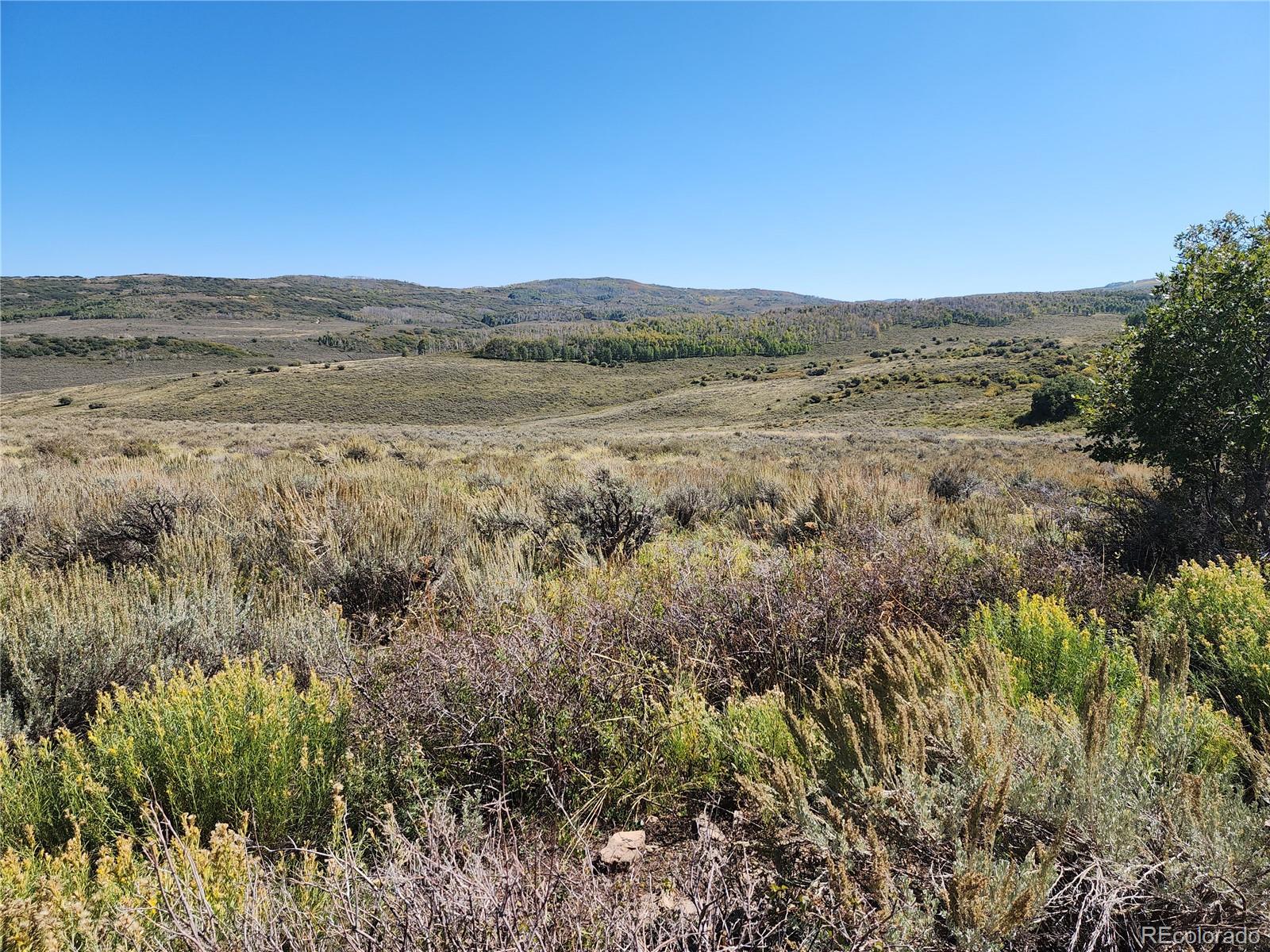 0 Divide (mont's Draw) Rd Gateway Whitewater, CO 81527 - Photo 7 of 10 a view of a field with trees in the background