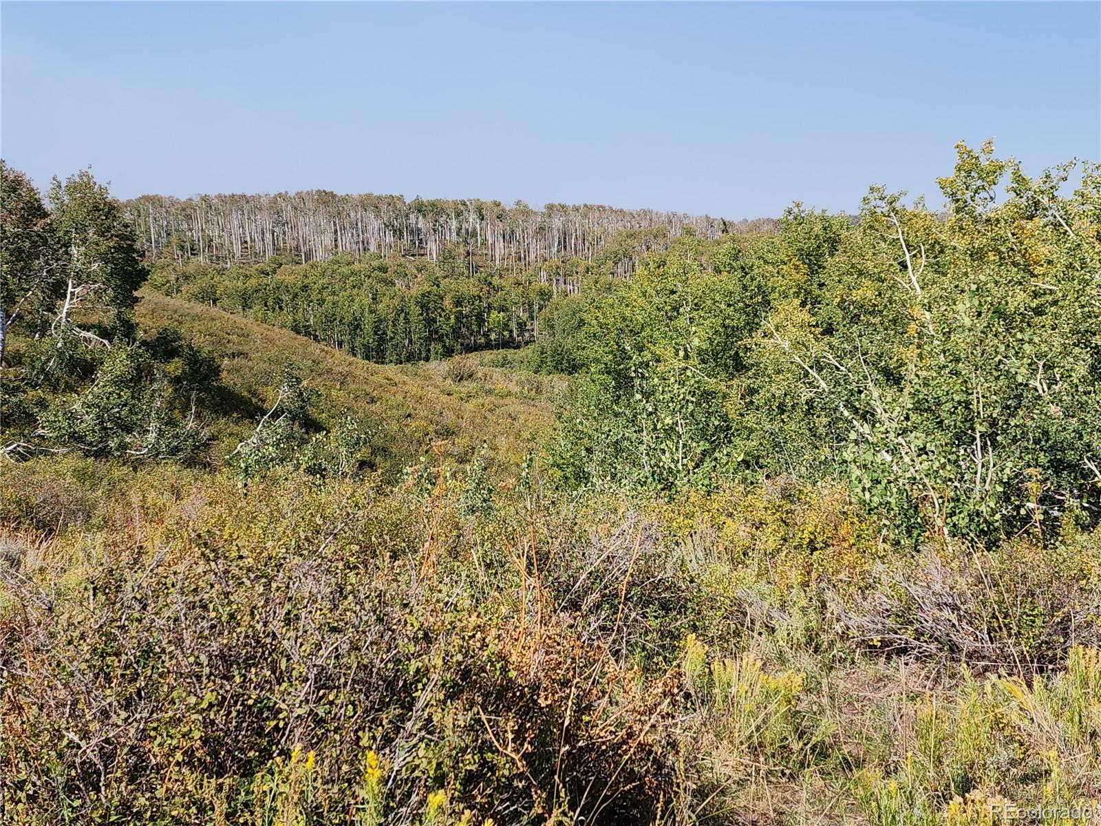 0 Divide (mont's Draw) Rd Gateway Whitewater, CO 81527 - Photo 8 of 10 a view of a large yard with green space and fog