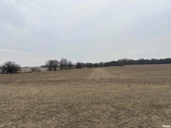 $545,000 | 0 Stringtown Road, Stanford, IL 61774