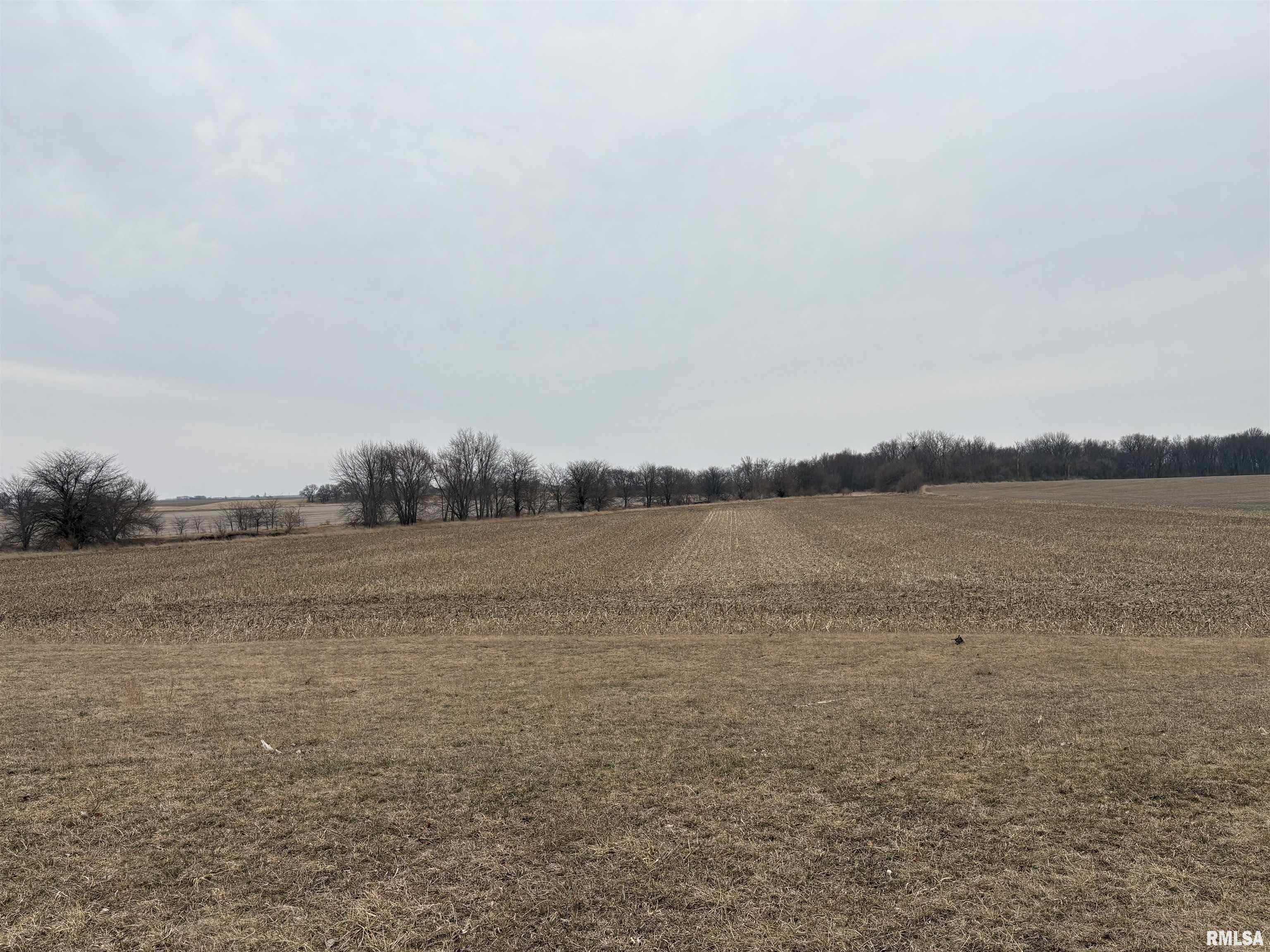 0 Stringtown Road Stanford, IL 61774 - Photo 1 of 2