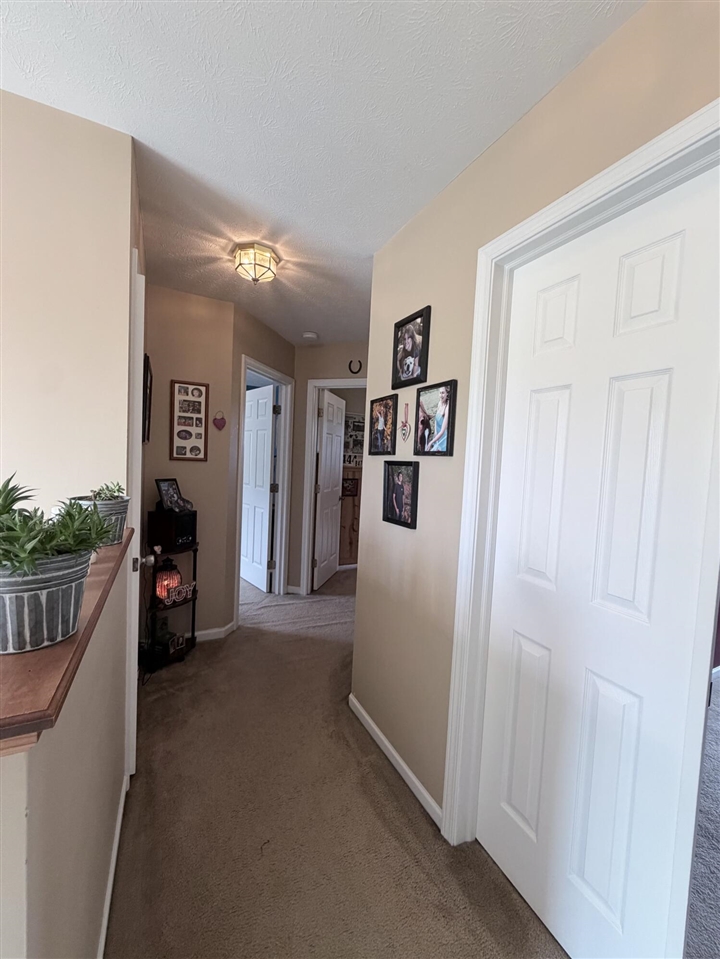 6585 Sinclair Road Eau Claire, MI 49111 - Photo 13 of 33