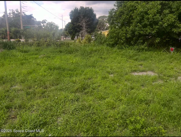 a view of a field of grass and trees