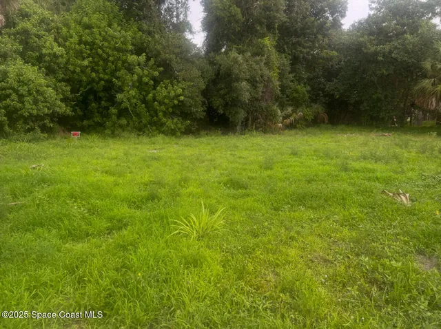 a view of outdoor space with deck and yard