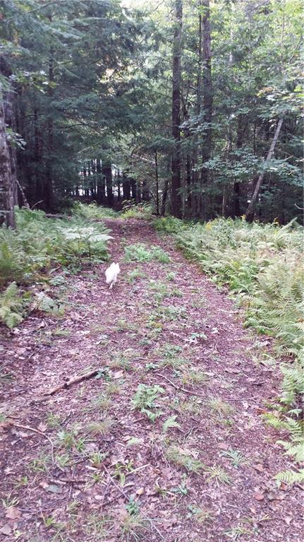 785 River Road Dresden, ME 04342 - Photo 8 of 12 The view comes in to sight