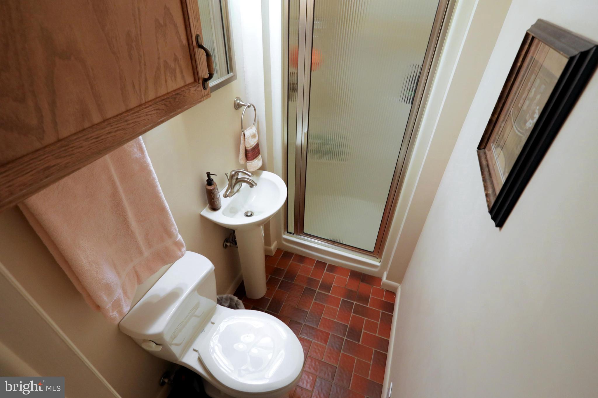 4477 Walters Hatchery Road Spring Grove, PA 17362 - Photo 50 of 56 Basement Bathroom
