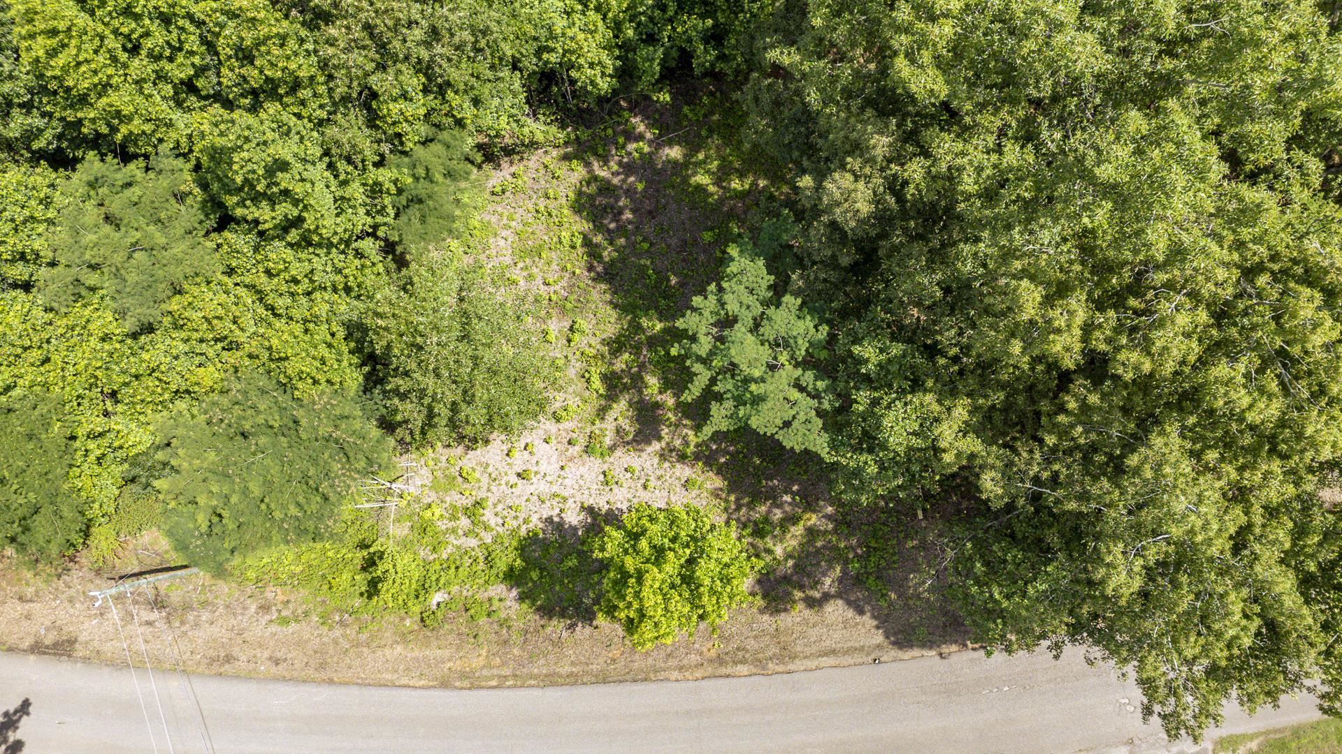 Xxx Oak Grove Road Savannah, TN 38372 - Photo 12 of 29