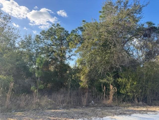 35367 Kramer Street Webster, FL 33597 - Photo 13 of 13 a view of a forest with trees in the background