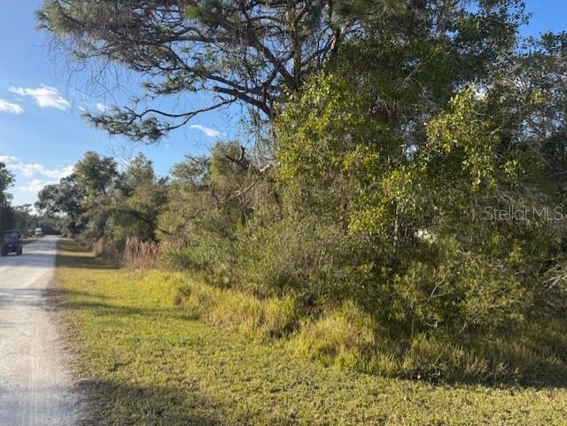 35367 Kramer Street Webster, FL 33597 - Photo 3 of 13 a view of yard with green space