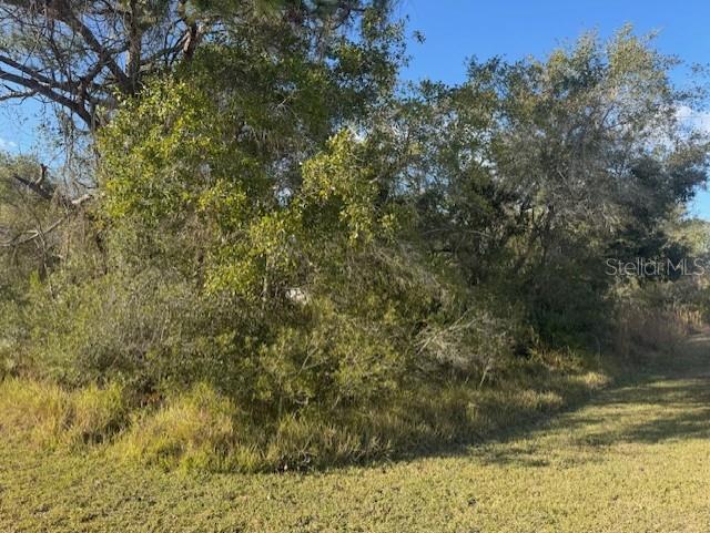 35367 Kramer Street Webster, FL 33597 - Photo 4 of 13 a view of a yard