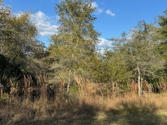 35367 Kramer Street Webster, FL 33597 - Photo 6 of 13 a view of lake with lots of trees