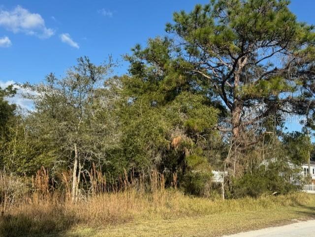 35367 Kramer Street Webster, FL 33597 - Photo 7 of 13 a view of a yard