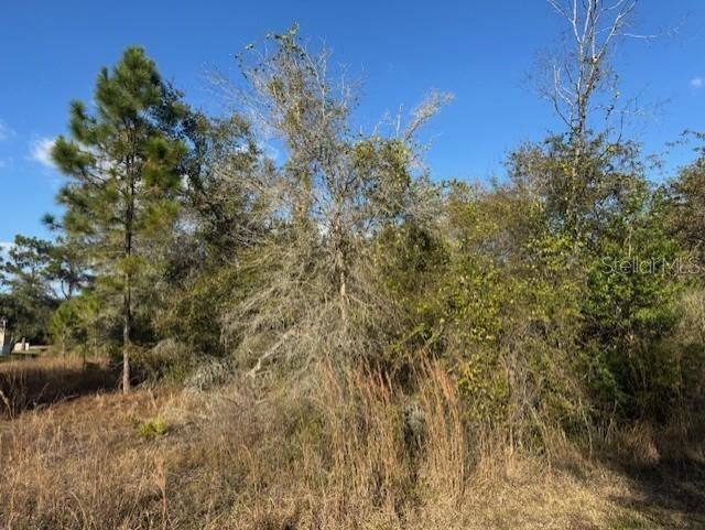 35367 Kramer Street Webster, FL 33597 - Photo 8 of 13 a view of a backyard of a house