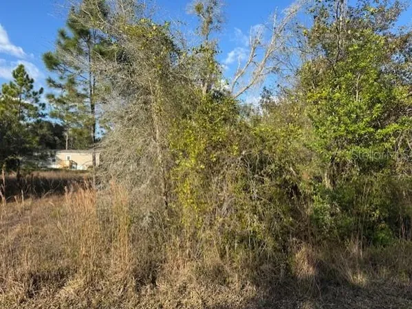 a view of a yard with a tree