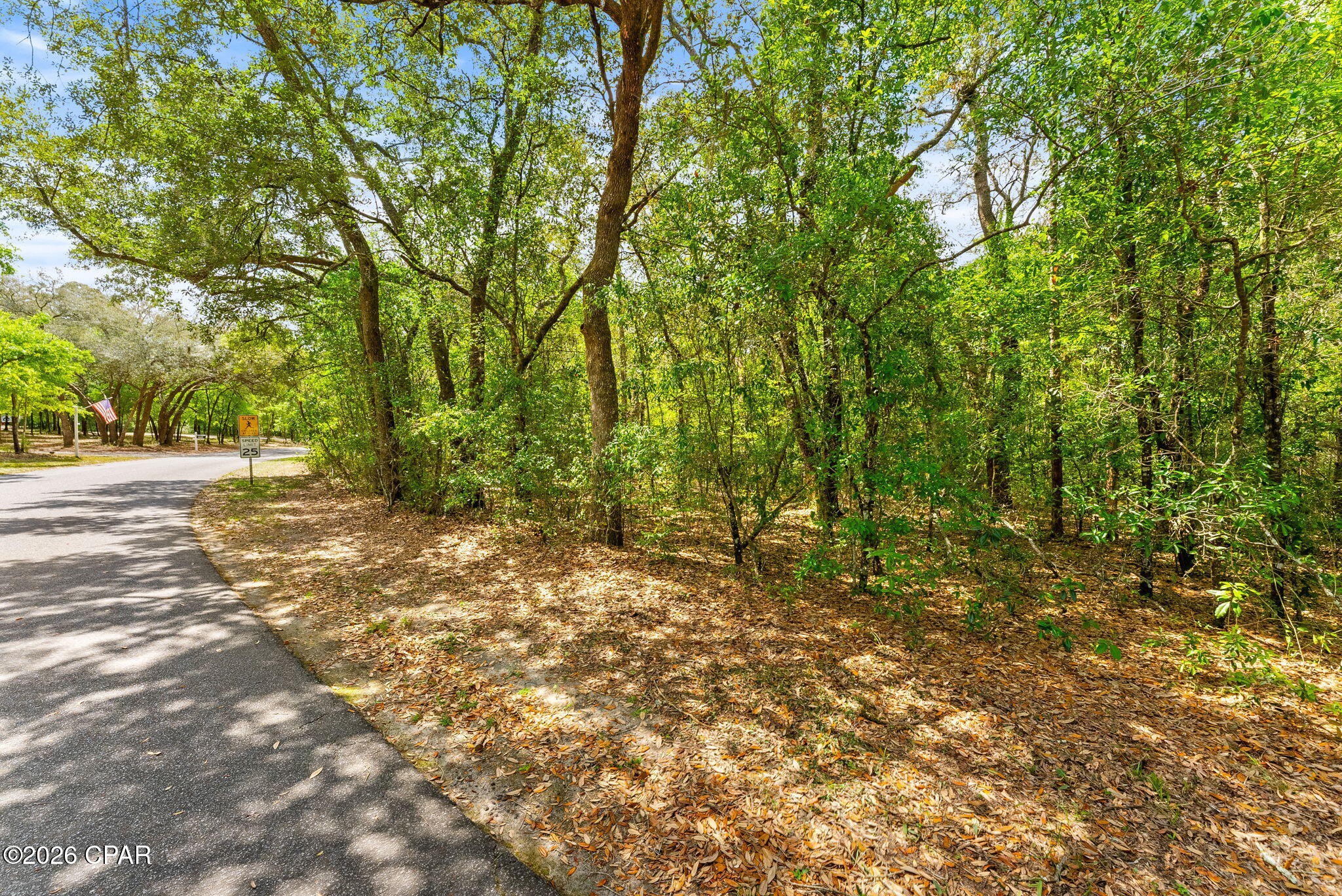 0 Quail Ridge Drive Chipley, FL 32428 - Photo 13 of 22
