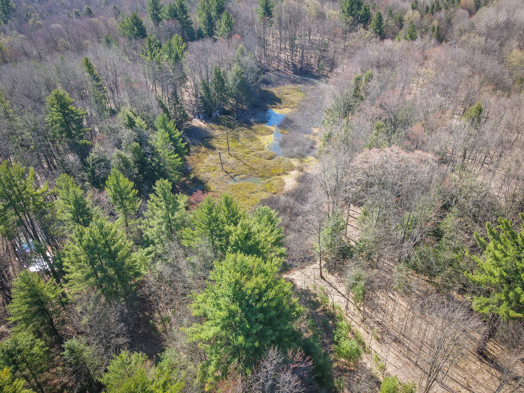 V/l East Baseline Road Shelby, MI 49455 - Photo 28 of 34 DJI_0971
