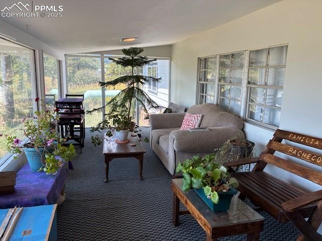 8201 Old San Isabel Road Rye, CO 81069 - Photo 13 of 30 Sunroom / solarium with lofted ceiling and carpet flooring
