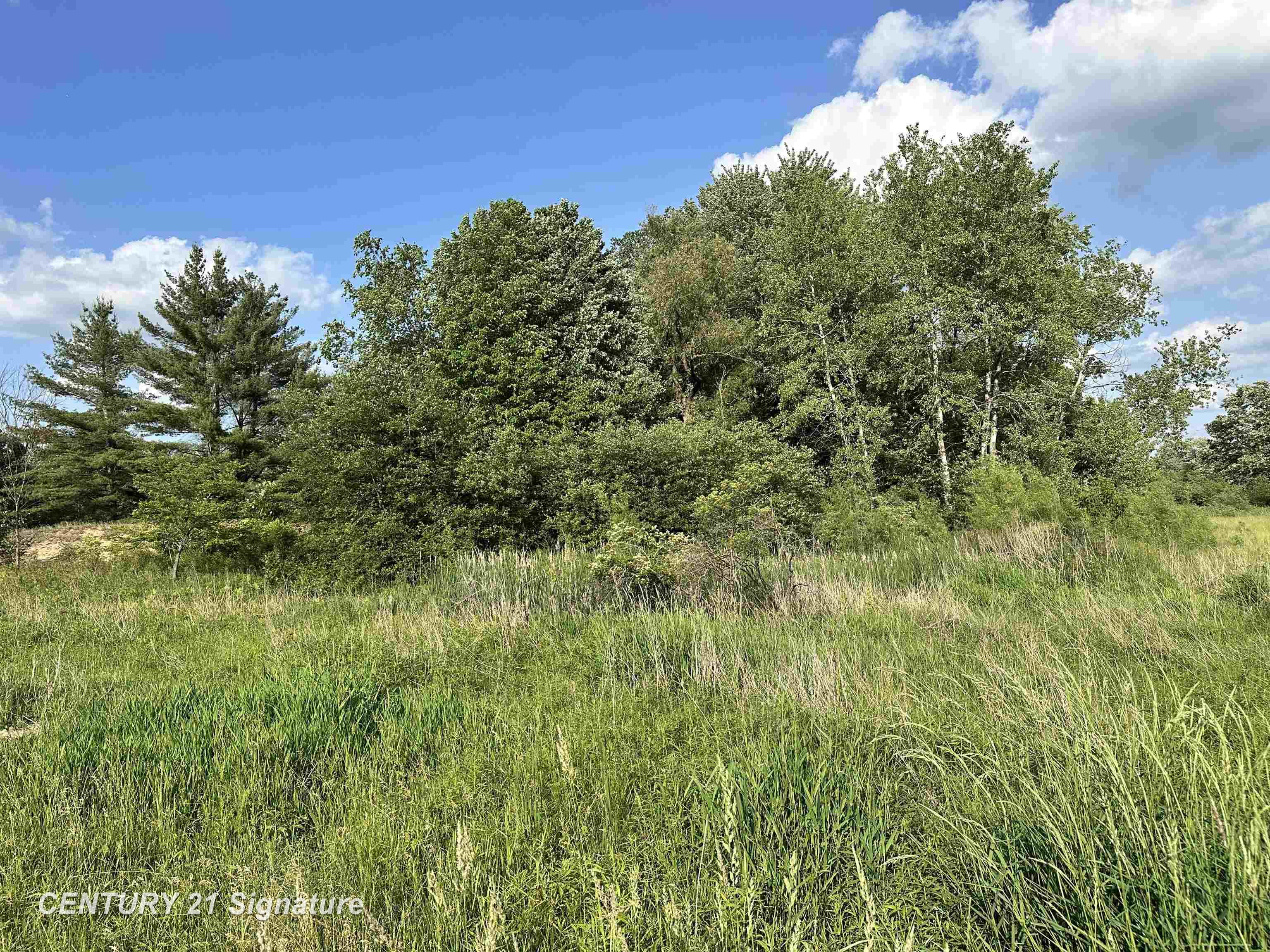 60 Estey Road Beaverton, MI 48612 - Photo 14 of 15