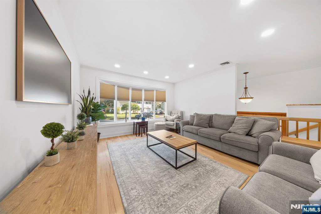 62 Sycamore Road Dumont, NJ 07628 - Photo 3 of 43 a living room with furniture and a potted plant