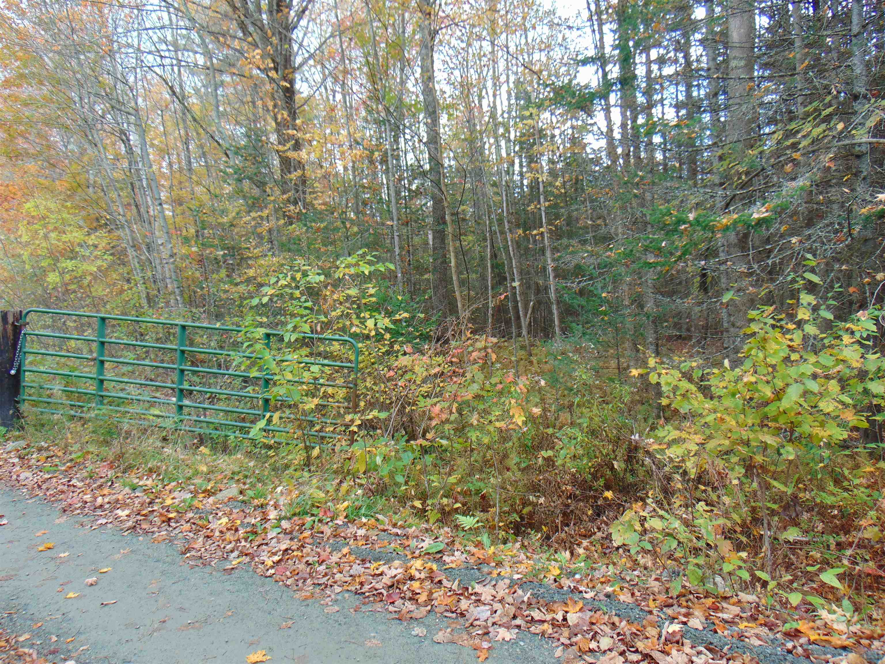 0 Wilderness Road, Unit 1 6 ACRE Lunenburg, VT 05906 - Photo 2 of 7