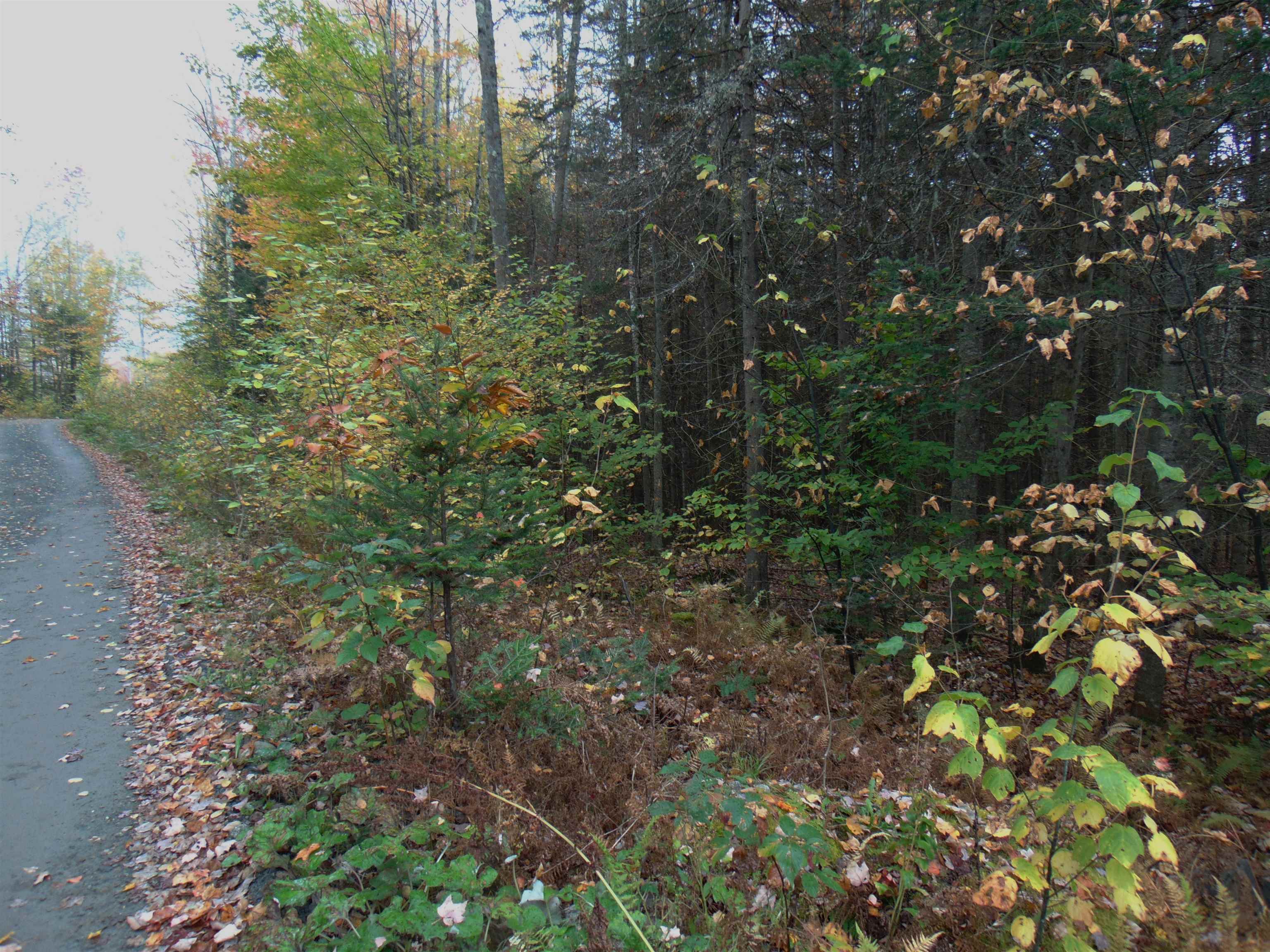 0 Wilderness Road, Unit 1 6 ACRE Lunenburg, VT 05906 - Photo 4 of 7