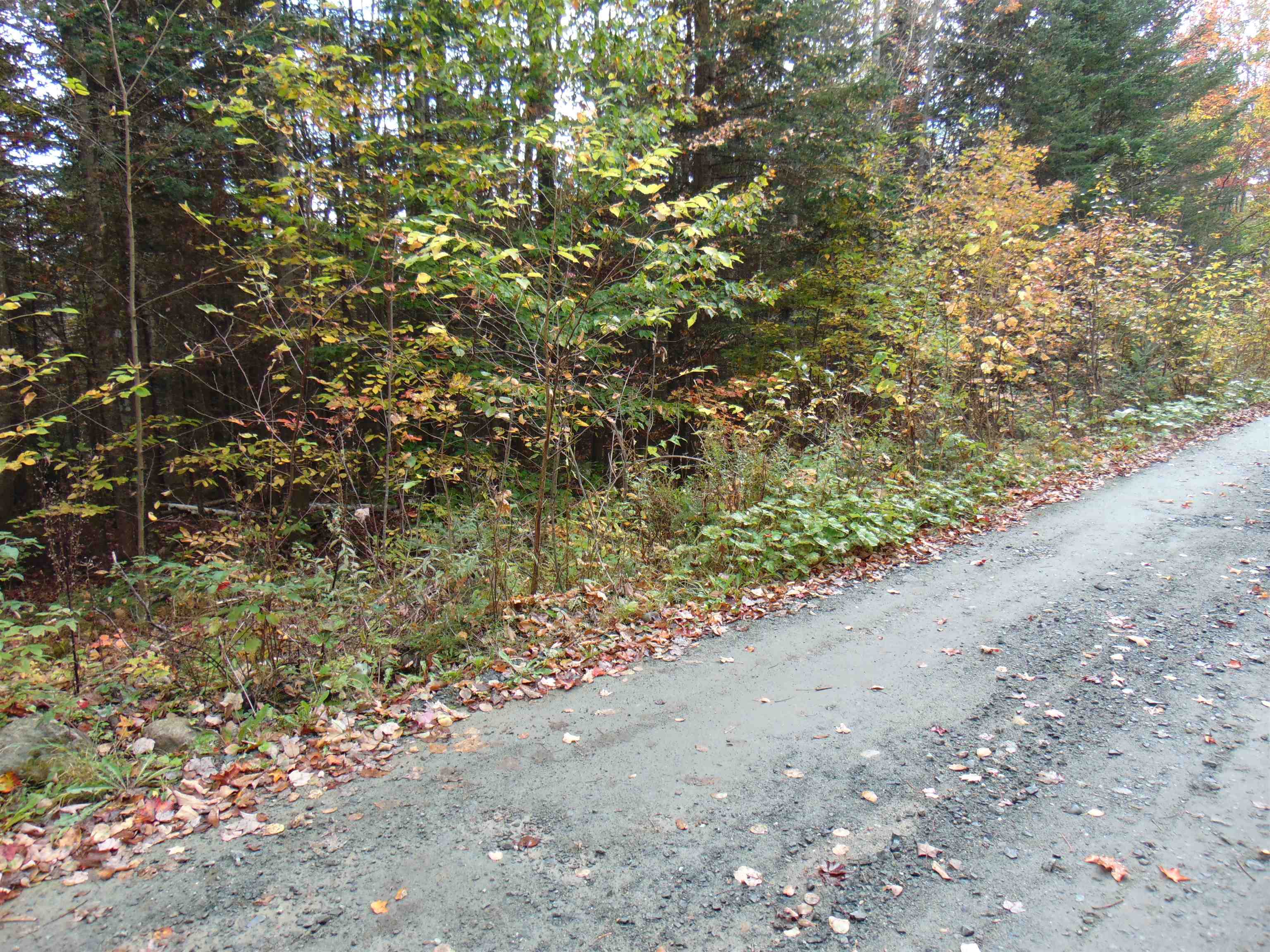 0 Wilderness Road, Unit 1 6 ACRE Lunenburg, VT 05906 - Photo 5 of 7