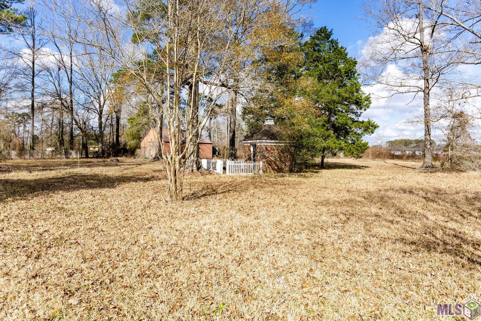 23045 Walker South Road Denham Springs, LA 70726 - Photo 23 of 28