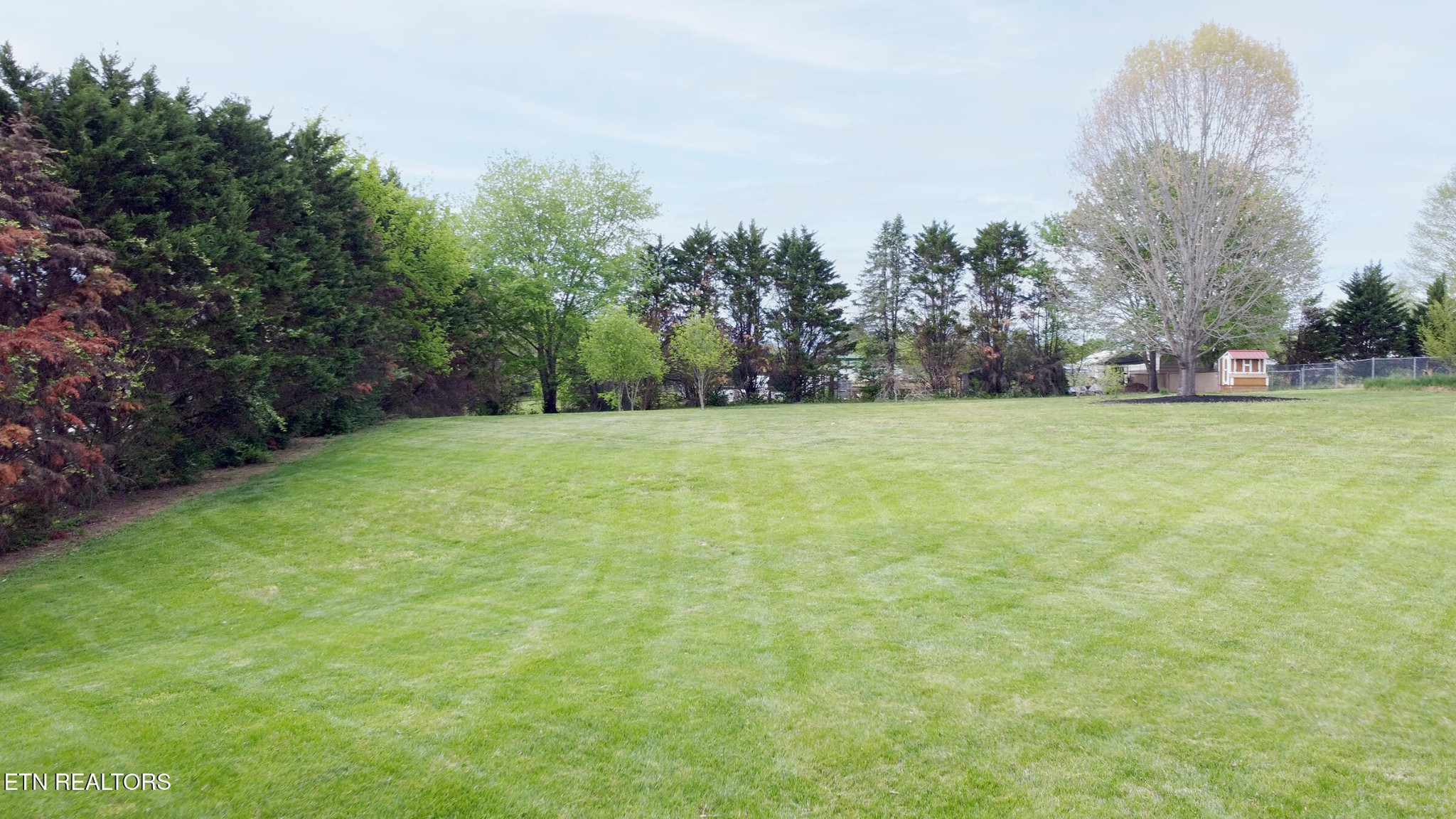 7835 Boruff Road Corryton, TN 37721 - Photo 55 of 60