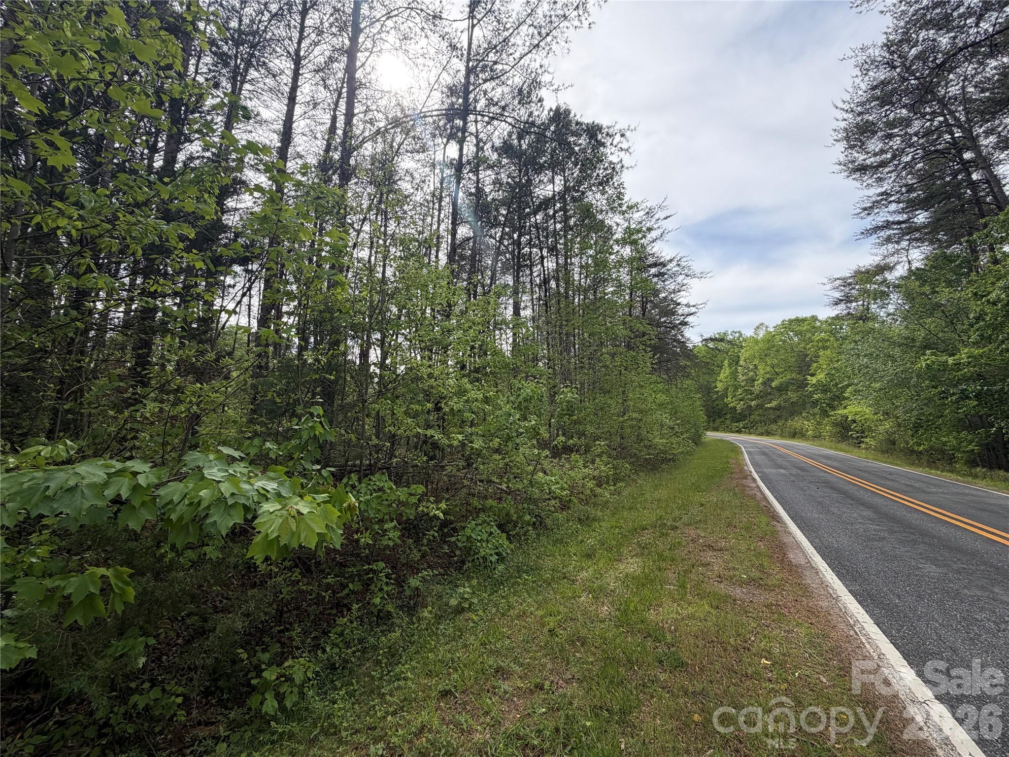 0 Polk County Line Road Rutherfordton, NC 28139 - Photo 19 of 24 a view of a yard with plants and large trees