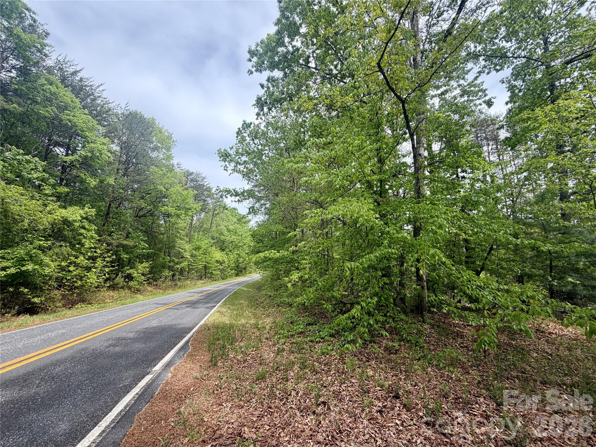 0 Polk County Line Road Rutherfordton, NC 28139 - Photo 20 of 24 a view of a yard with plants and large trees