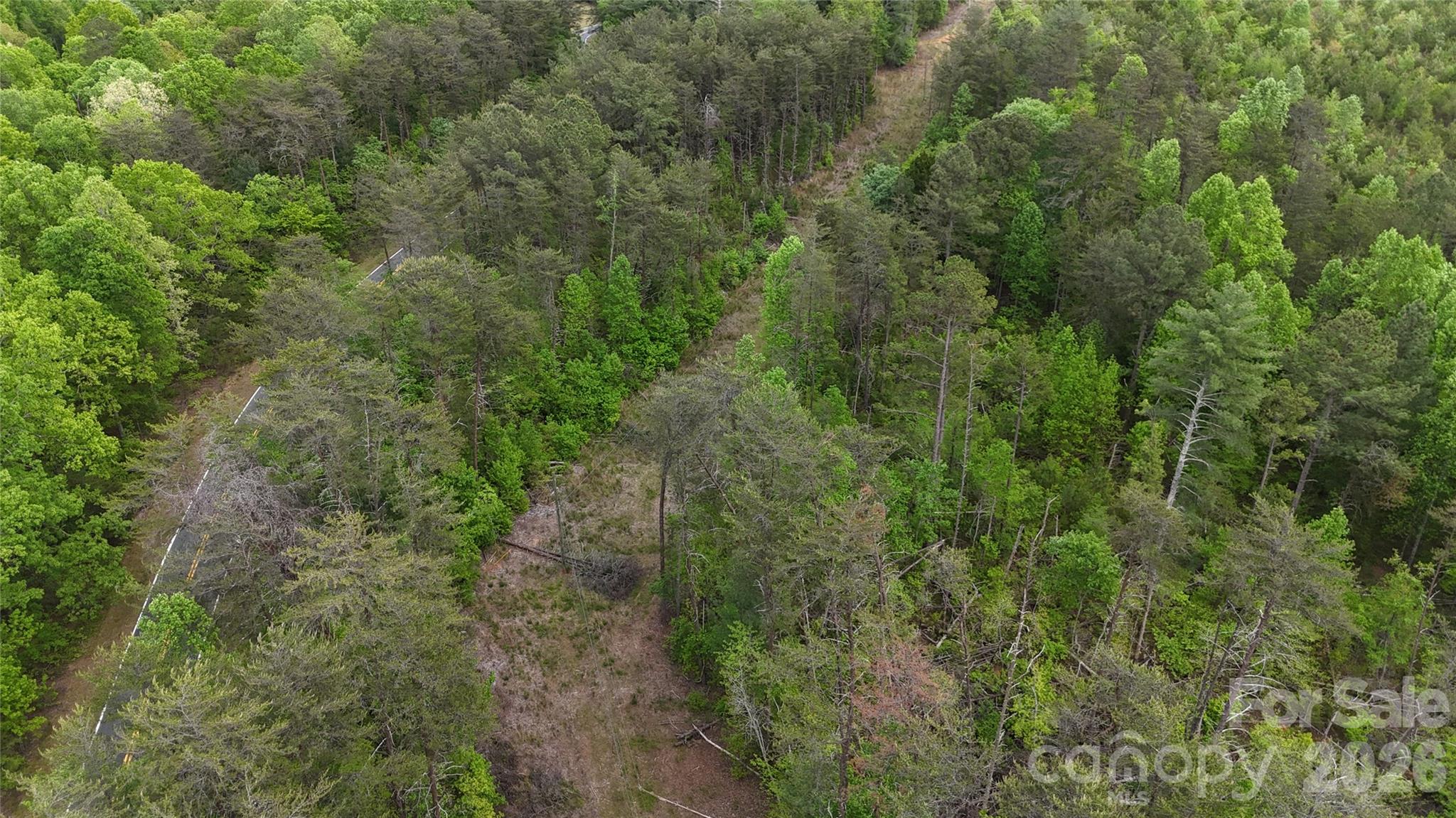 0 Polk County Line Road Rutherfordton, NC 28139 - Photo 23 of 24 a view of a field of grass and trees