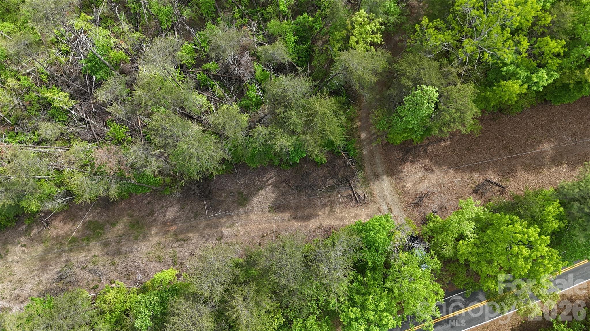 0 Polk County Line Road Rutherfordton, NC 28139 - Photo 24 of 24 a view of a pathway both side of yard