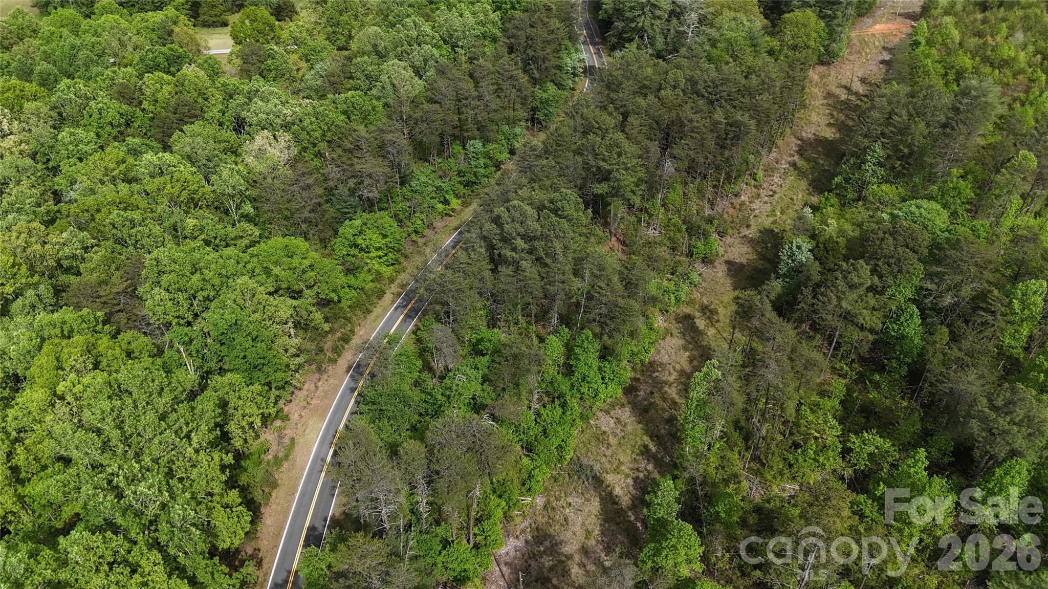 0 Polk County Line Road Rutherfordton, NC 28139 - Photo 4 of 24 an aerial view of residential houses with outdoor space and trees