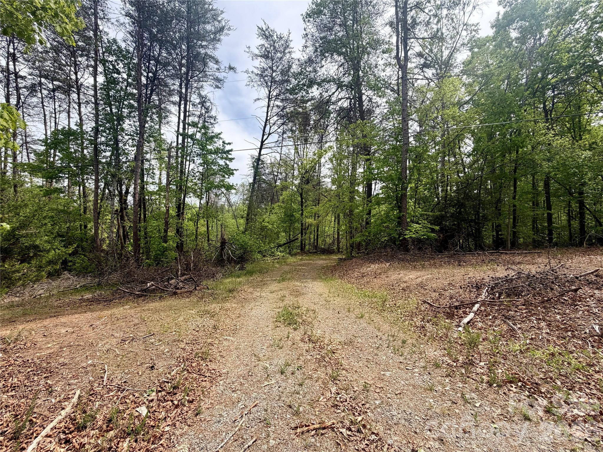 0 Polk County Line Road Rutherfordton, NC 28139 - Photo 5 of 24 a view of backyard with green space