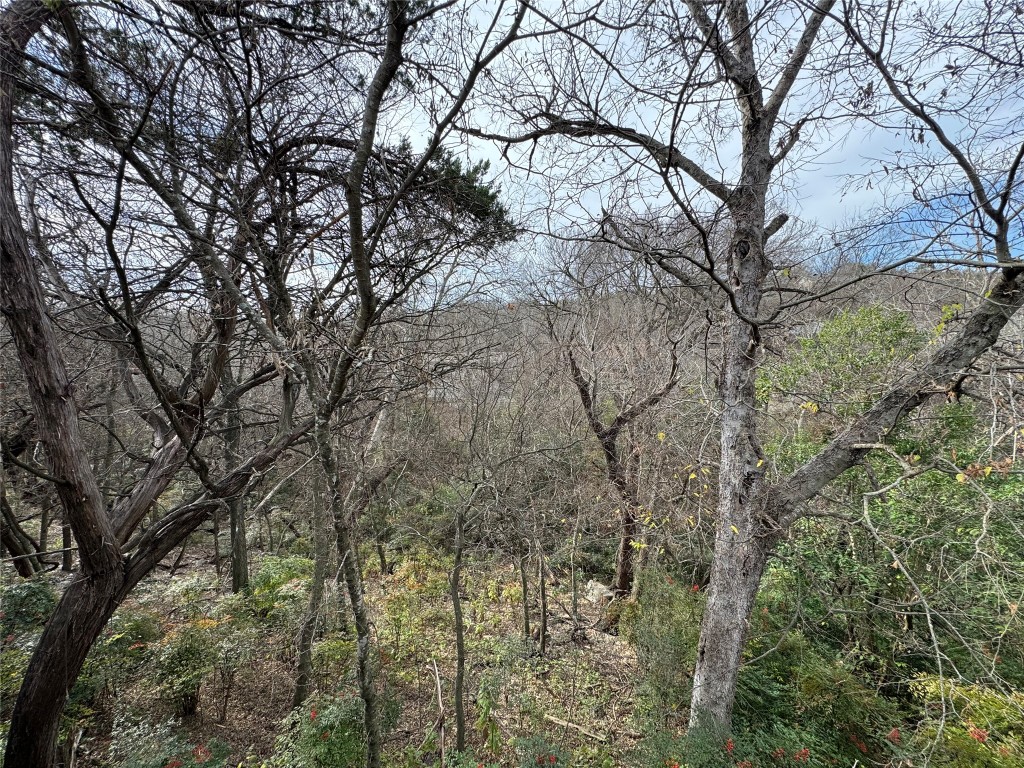 6614 Hart Lane, Unit B Austin, TX 78731 - Photo 5 of 6 a backyard of a house with lots of trees