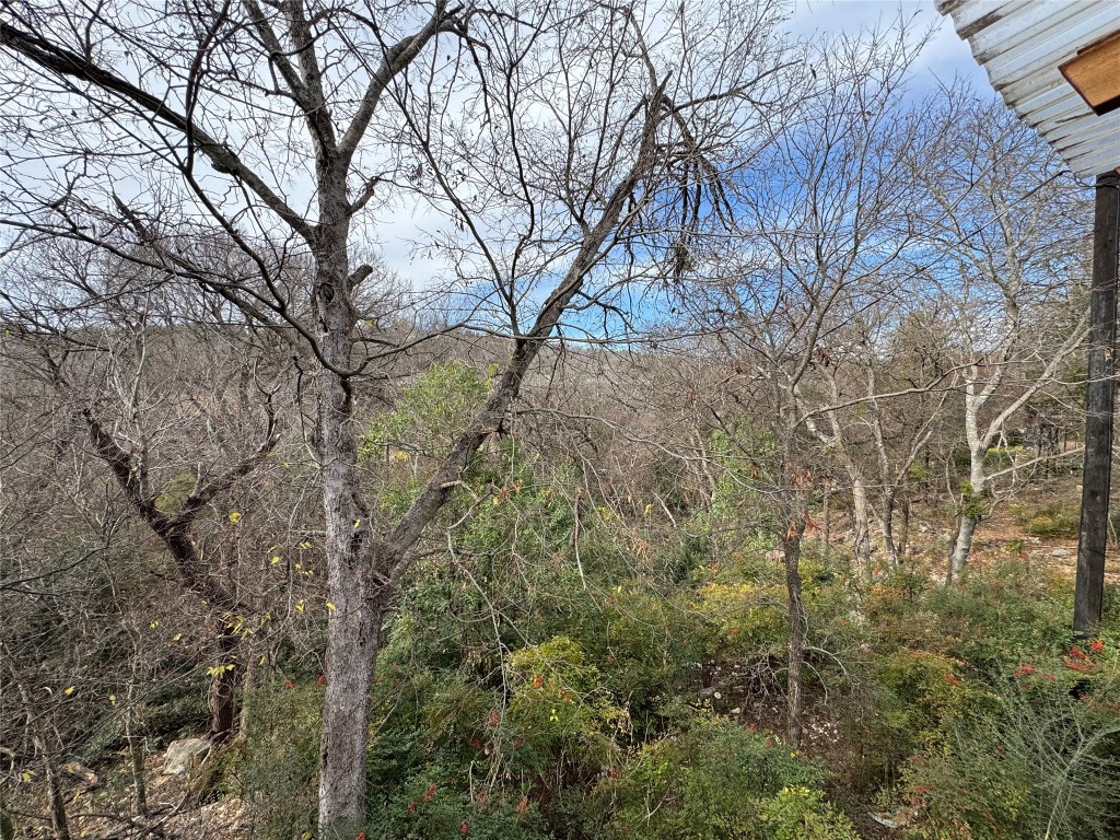 6614 Hart Lane, Unit B Austin, TX 78731 - Photo 6 of 6 a view of a forest filled with trees