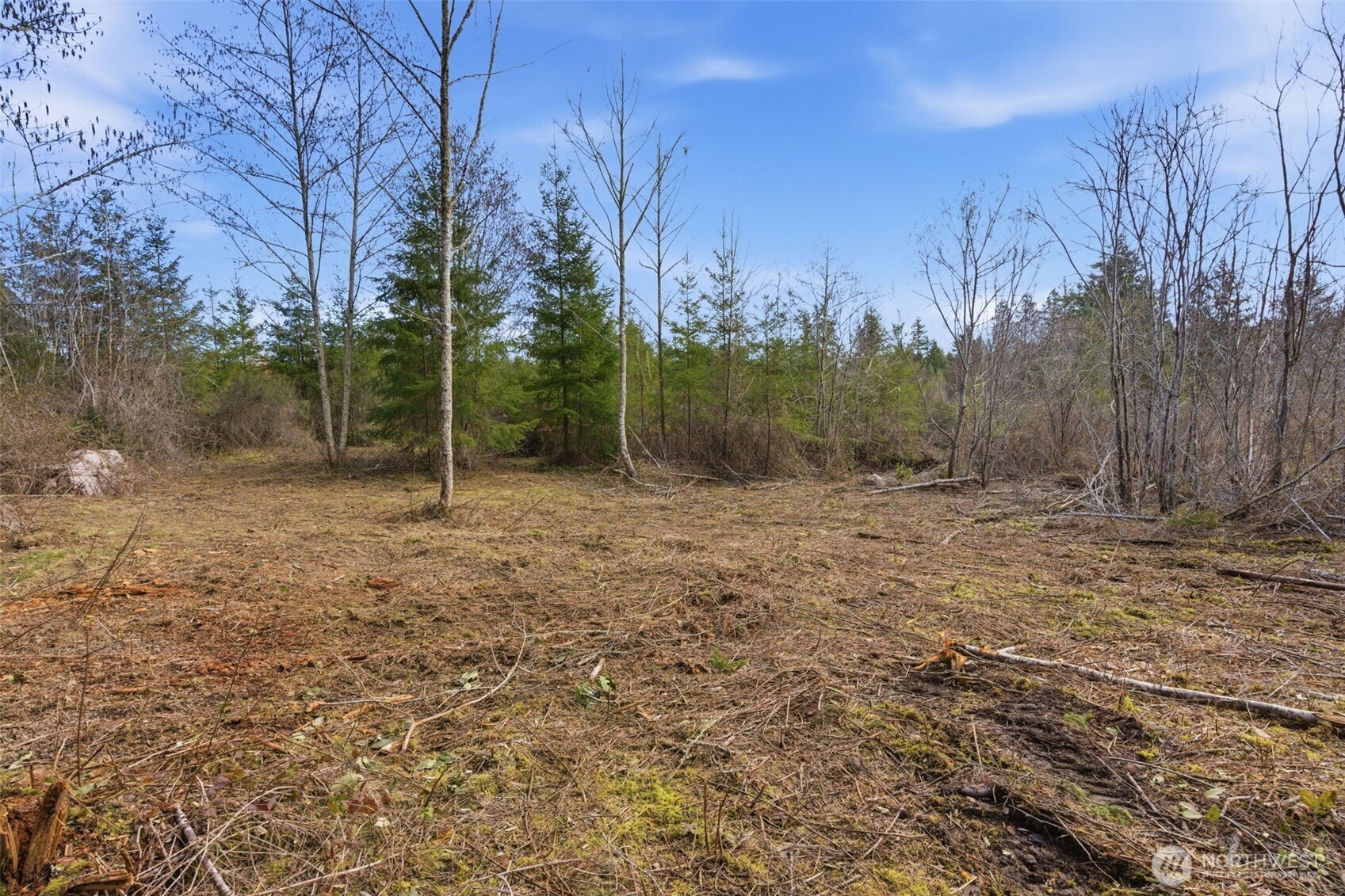 0 East McLane Cv Drive Grapeview, WA 98546 - Photo 7 of 20 a view of outdoor space with trees all around