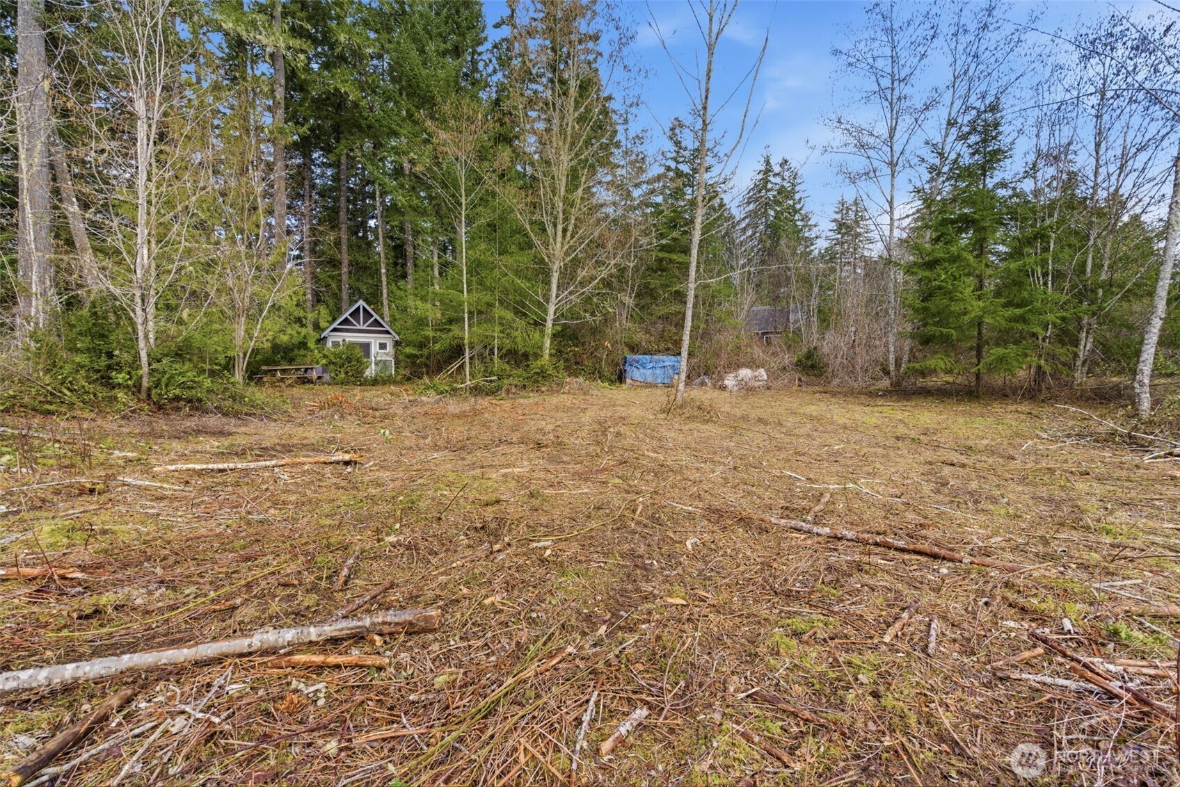 0 East McLane Cv Drive Grapeview, WA 98546 - Photo 8 of 20 a backyard of a house with lots of green space