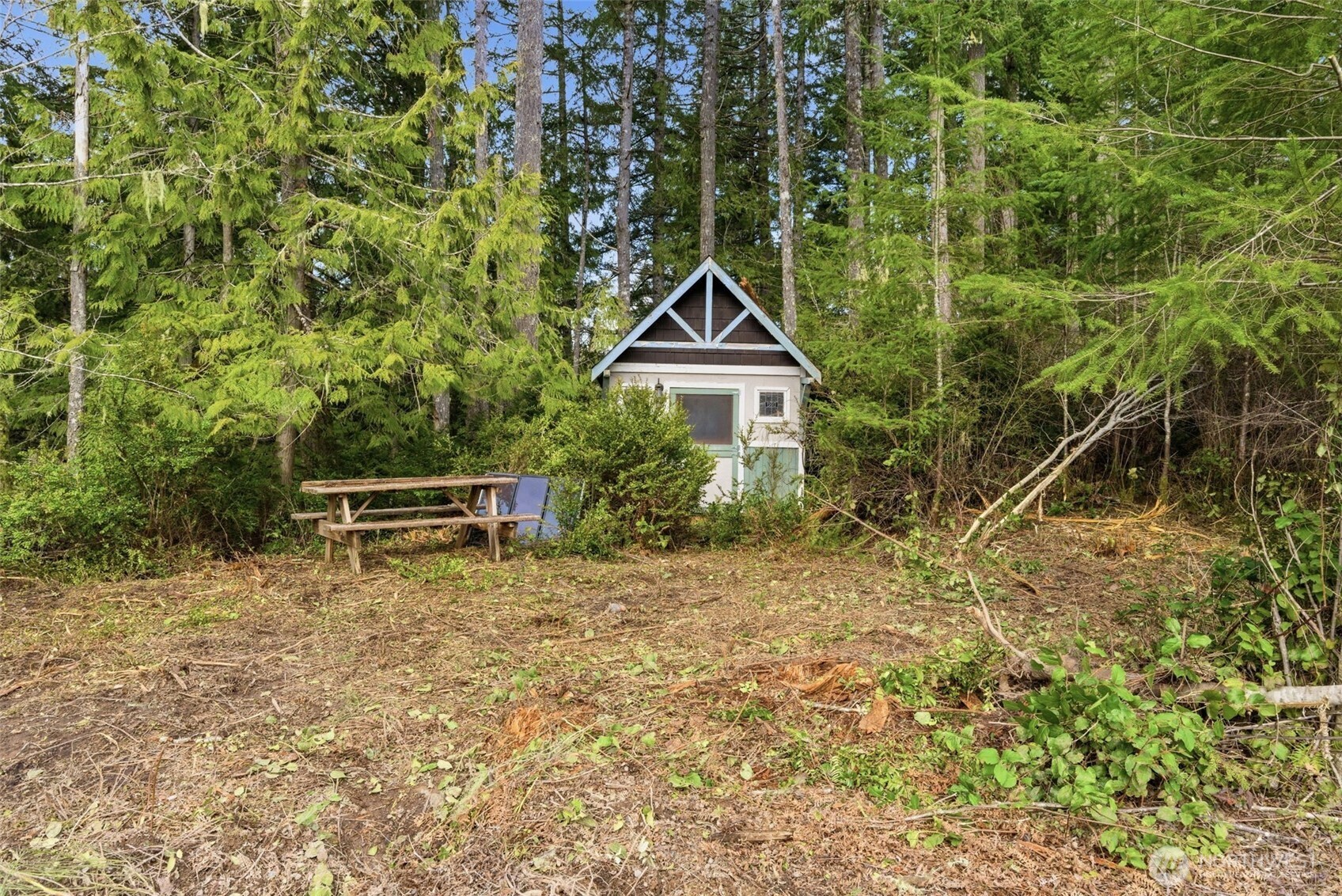 0 East McLane Cv Drive Grapeview, WA 98546 - Photo 9 of 20 a house with trees in the background