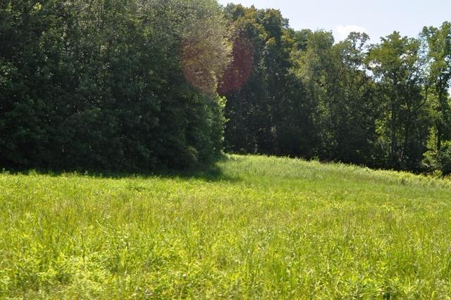 1516 Millstone Road Clay City, KY 40312 - Photo 9 of 16 Photo 9