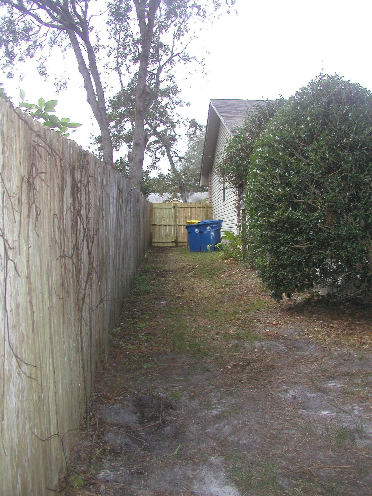 1609 Panther Ridge Court Jacksonville, FL 32225 - Photo 18 of 18 (18) Right side of home with new gate to