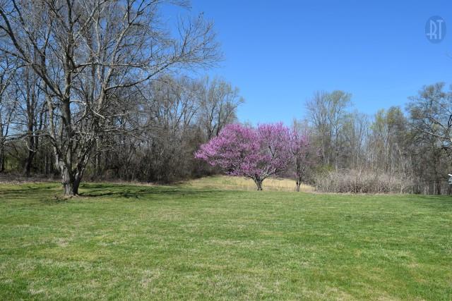 1556 Roberts Ridge Road Manchester, TN 37355 - Photo 13 of 16