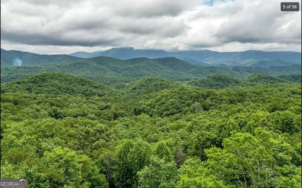 1427 Cherry Lake Drive Blue Ridge, GA 30513 - Photo 17 of 89