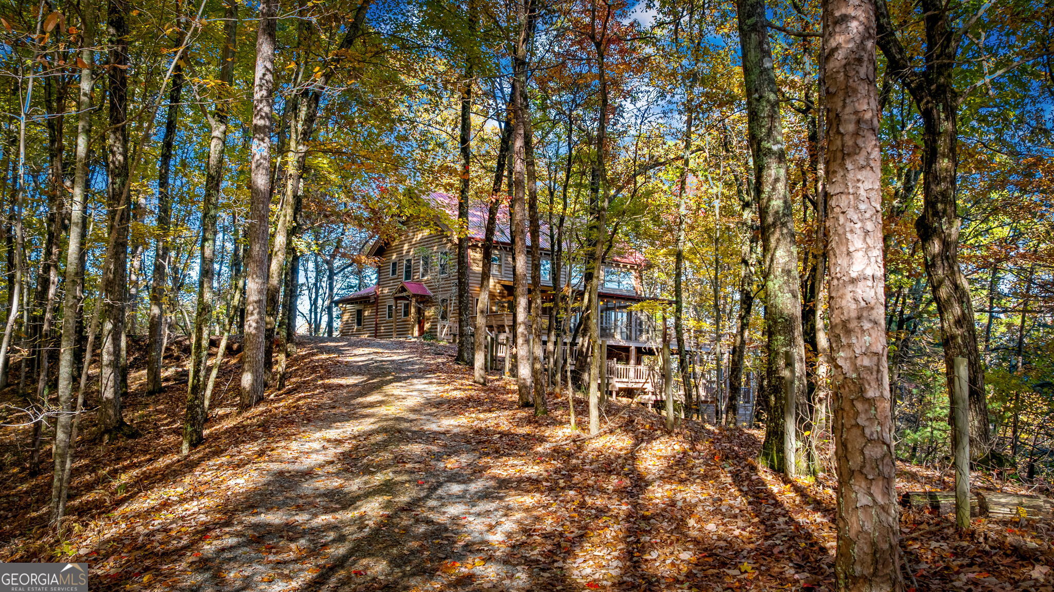 1427 Cherry Lake Drive Blue Ridge, GA 30513 - Photo 37 of 89 a view of yard