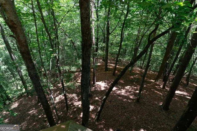 $795,000 | 1427 Cherry Lake Drive, Blue Ridge, GA 30513