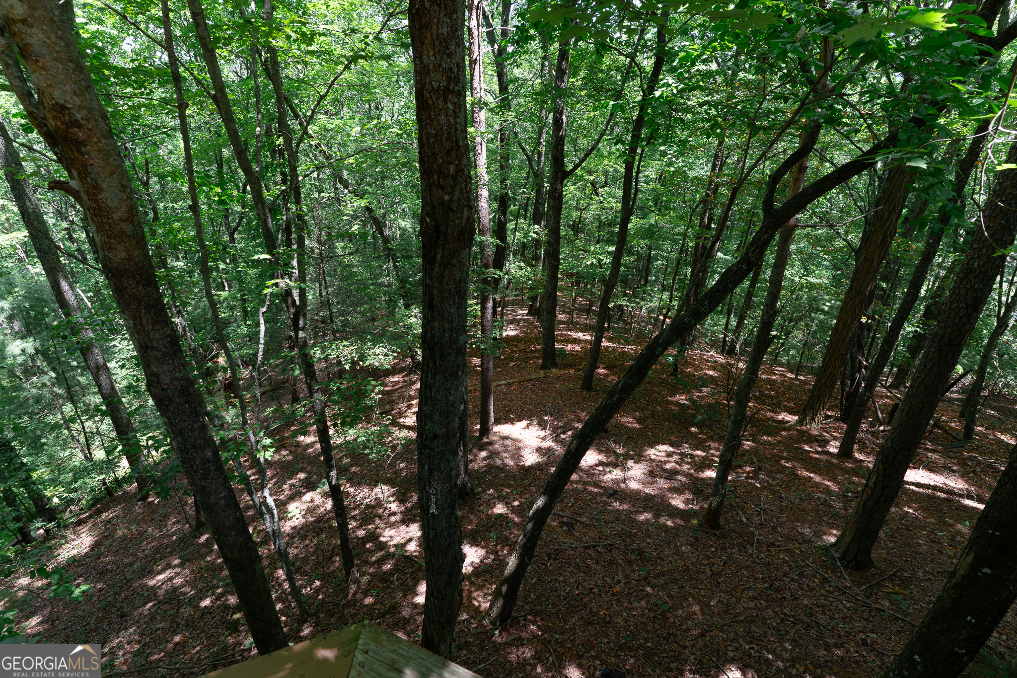 1427 Cherry Lake Drive Blue Ridge, GA 30513 - Photo 53 of 89